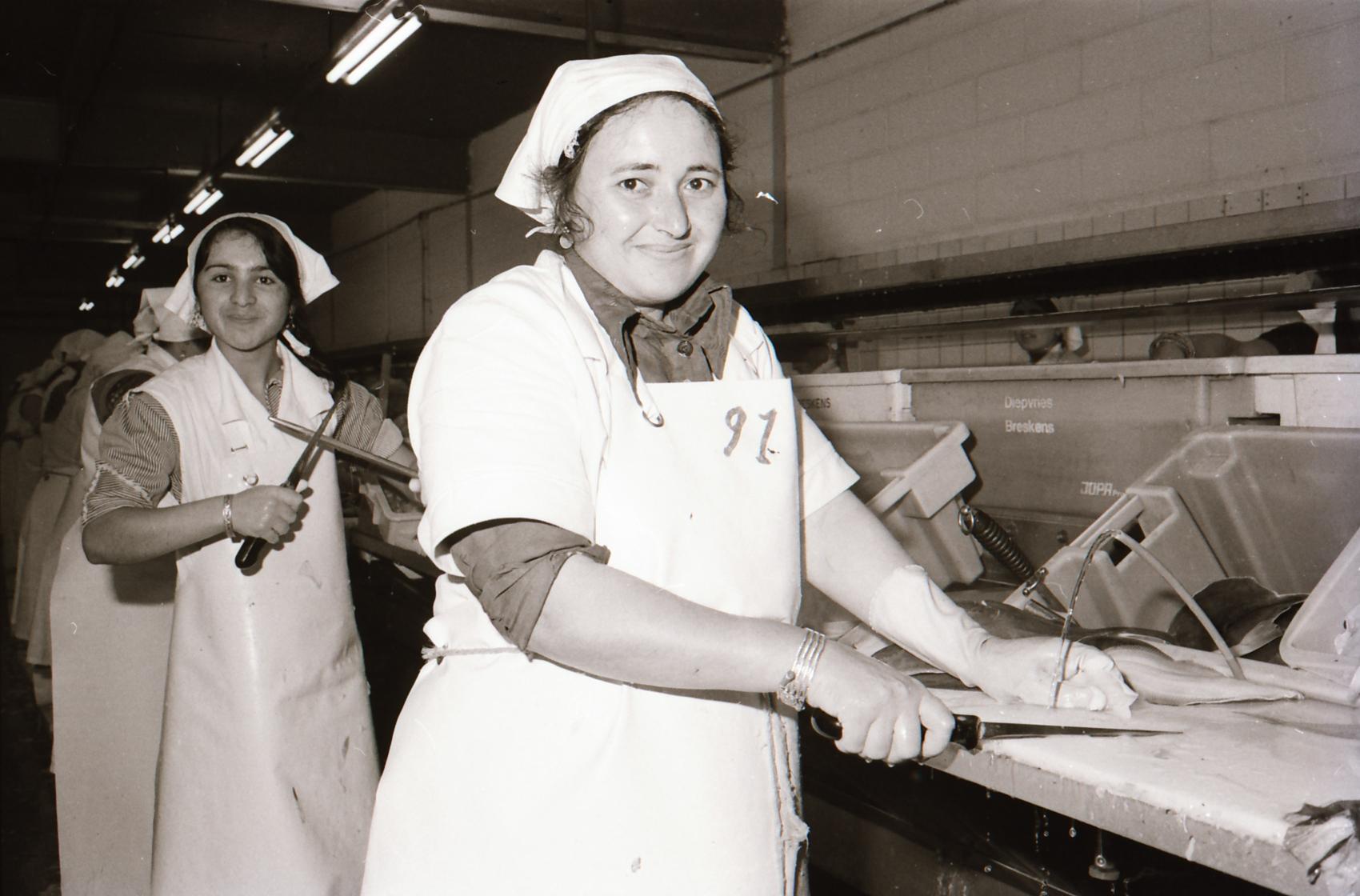 Vrouwen in de visfileerfabriek in Breskens