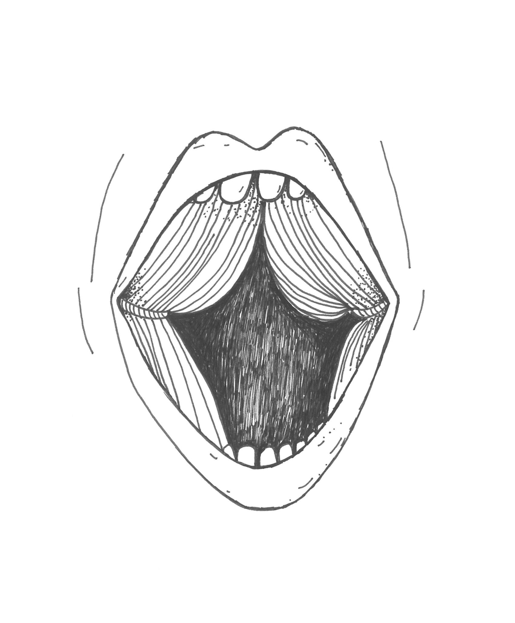 "Het gordijn van Jaipur" - Stefanie Claes